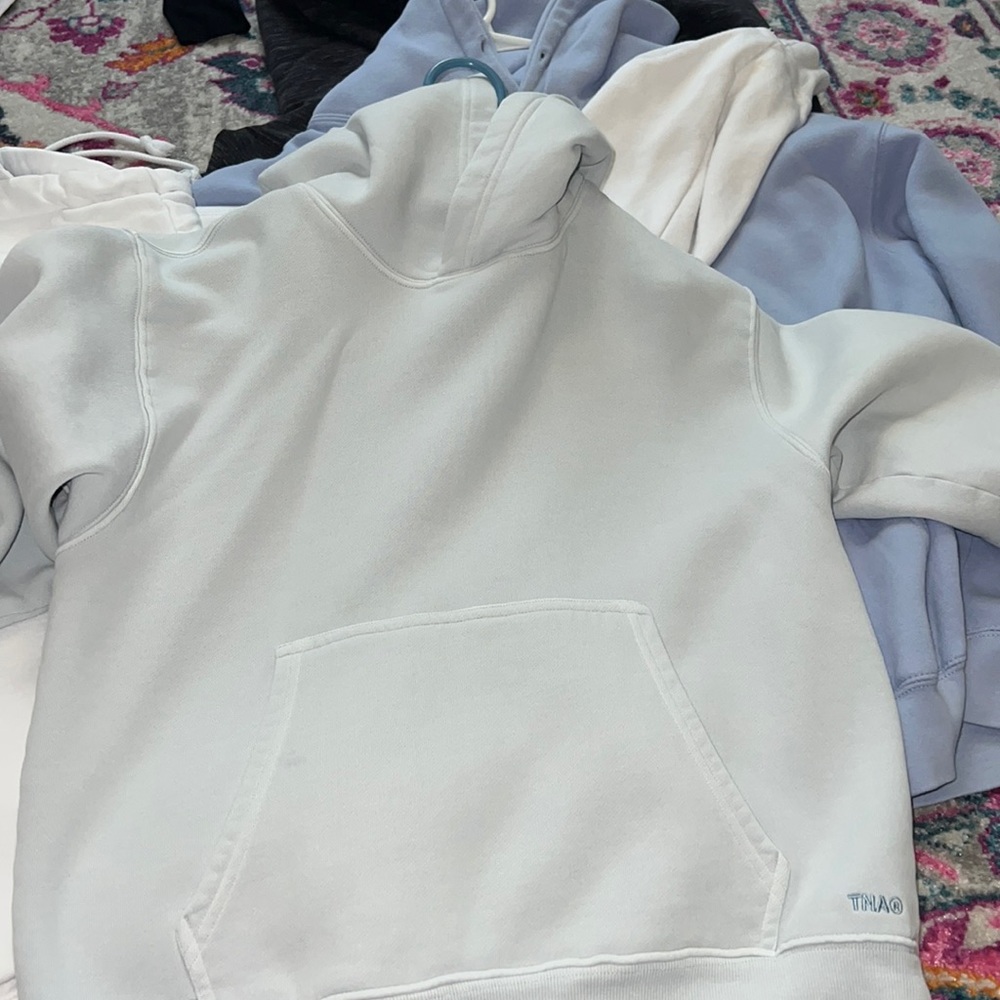 Aritzia sweatshirt